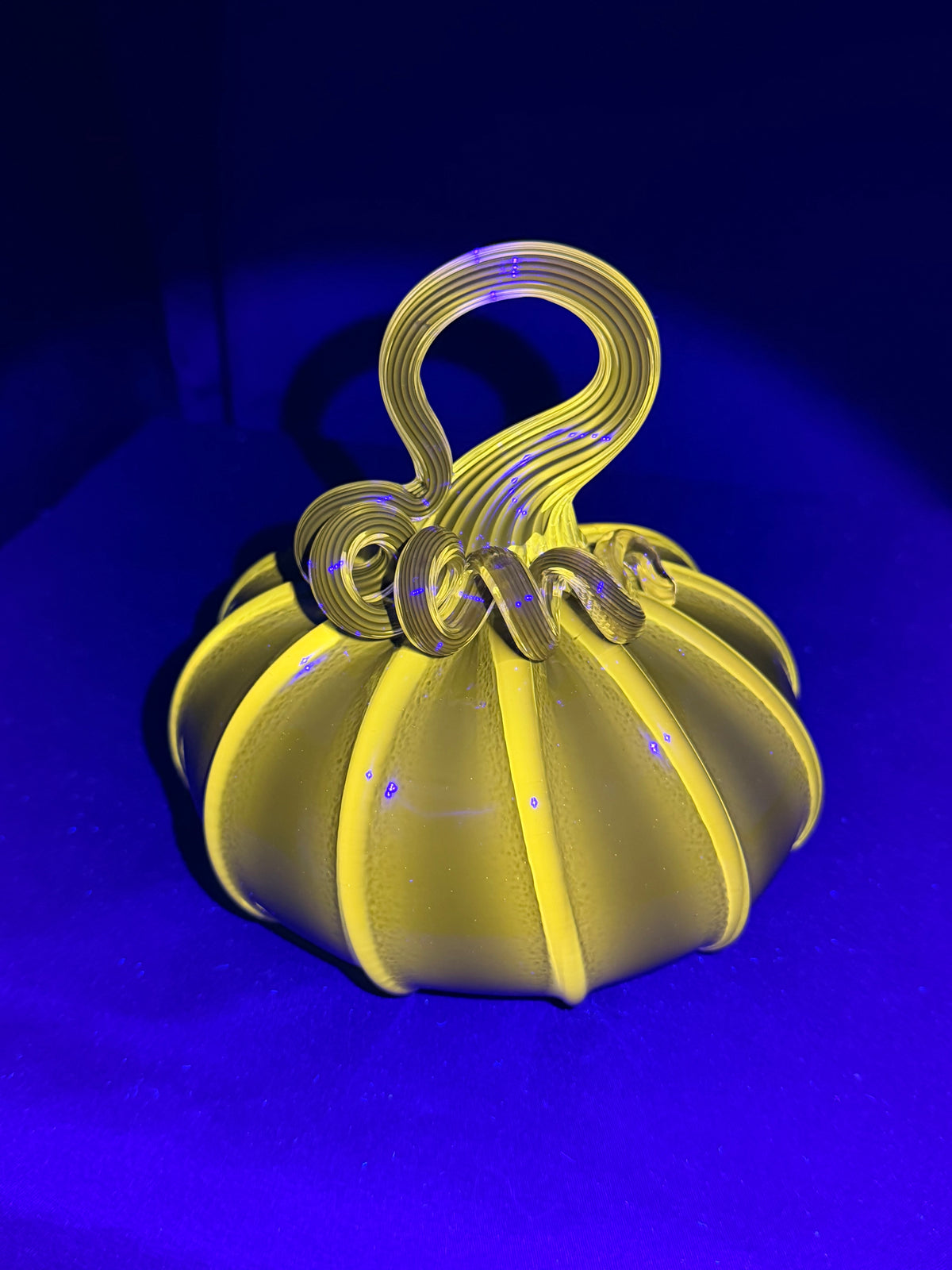 UV Yellow Pumpkins