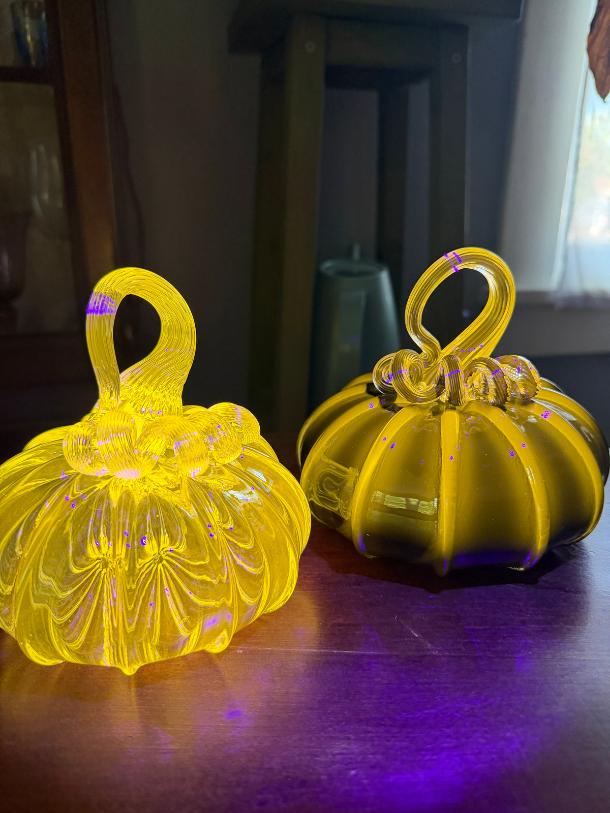 UV Yellow Pumpkins