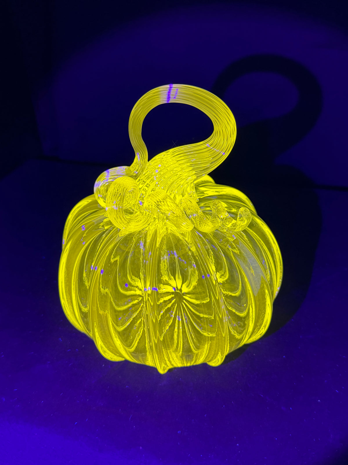 UV Yellow Pumpkins