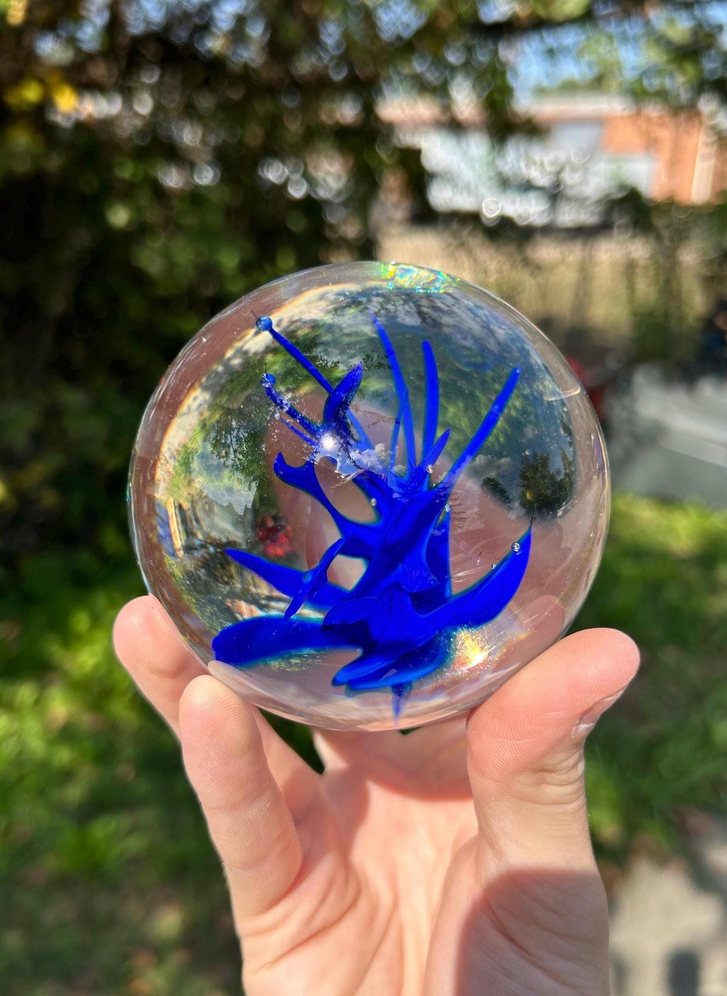 Deep Blue Devils Fire